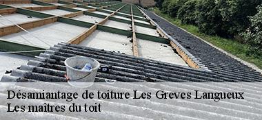 Désamiantage de toiture 22360