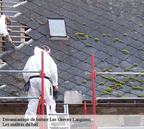 Désamiantage de toiture 22360