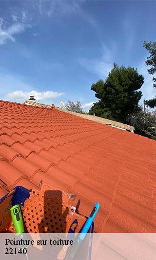 Peinture sur toiture  22140
