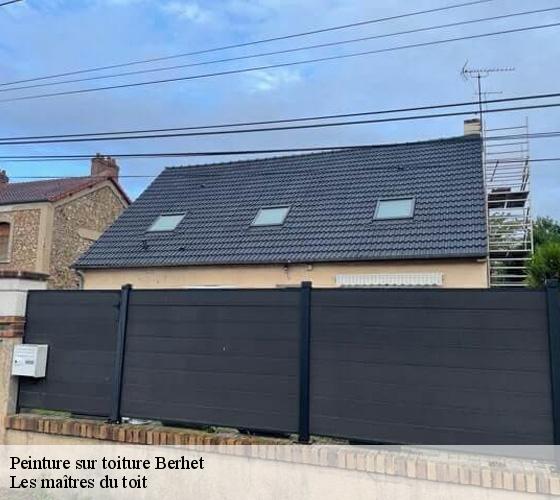 Peinture sur toiture 22140
