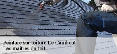 Peinture sur toiture  22210