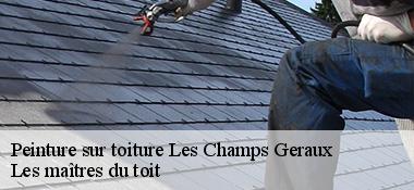 Peinture sur toiture 22630