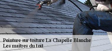 Peinture sur toiture  22350