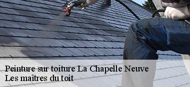 Peinture sur toiture  22160