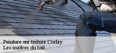 Peinture sur toiture  22320