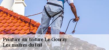Peinture sur toiture  22330