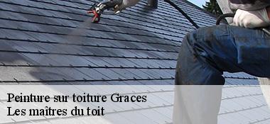 Peinture sur toiture  22200