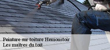 Peinture sur toiture  22600