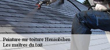 Peinture sur toiture 22550