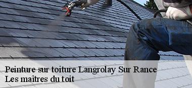 Peinture sur toiture 22490