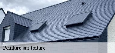 Peinture sur toiture 22230