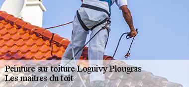 Peinture sur toiture  22780
