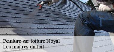 Peinture sur toiture 22400