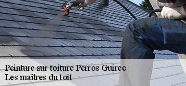 Peinture sur toiture  22700