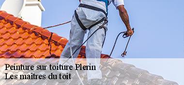 Peinture sur toiture  22190