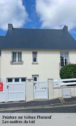 Peinture sur toiture 22170