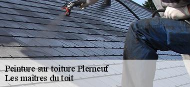 Peinture sur toiture 22170