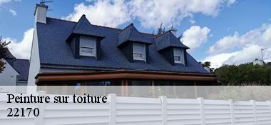 Peinture sur toiture 22170