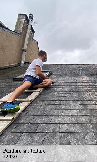 Peinture sur toiture  22420