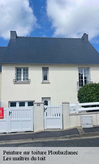 Peinture sur toiture  22620