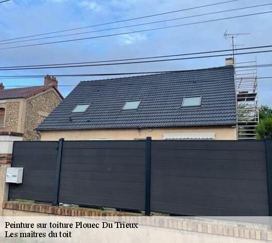 Peinture sur toiture  22260