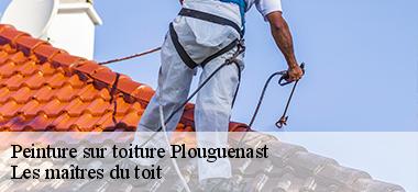 Peinture sur toiture  22150