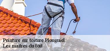 Peinture sur toiture  22220