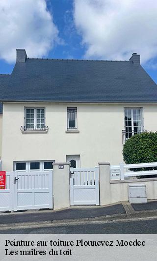 Peinture sur toiture 22810