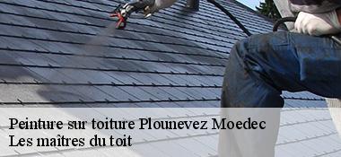 Peinture sur toiture 22810