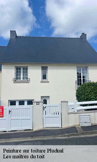 Peinture sur toiture 22290