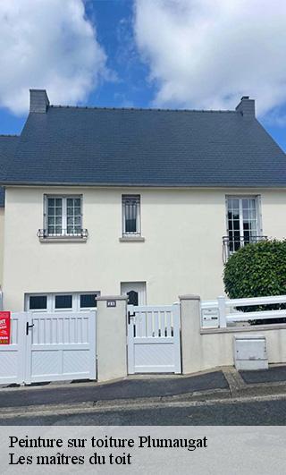 peinture-sur-toiture