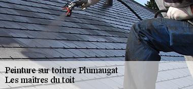 Peinture sur toiture  22250