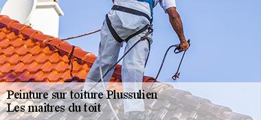 Peinture sur toiture  22320