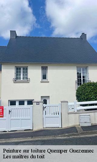 Peinture sur toiture  22260