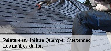 Peinture sur toiture  22260