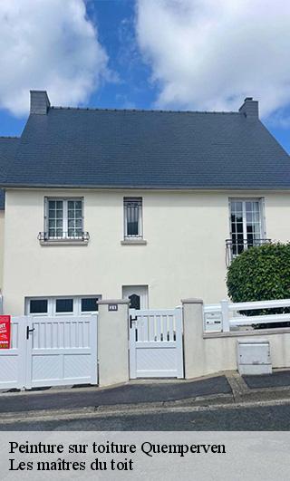 Peinture sur toiture  22450