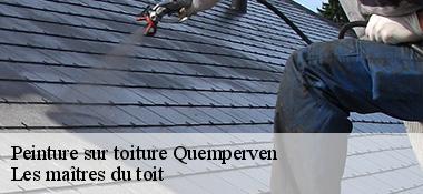 Peinture sur toiture  22450