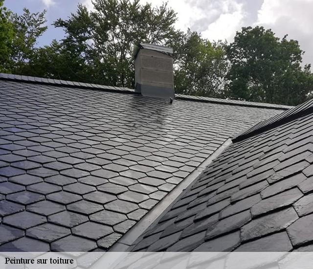 Peinture sur toiture 22120