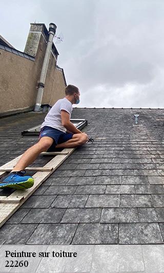 Peinture sur toiture  22260