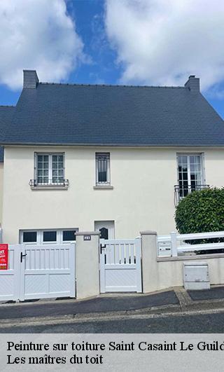 Peinture sur toiture  22380