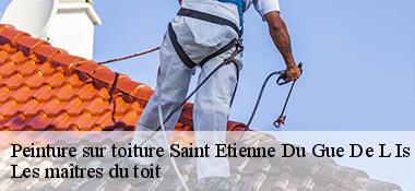 Peinture sur toiture  22210