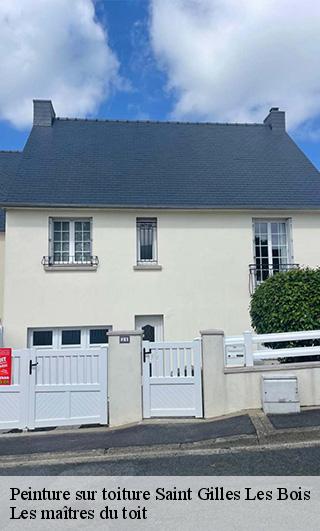 Peinture sur toiture  22290