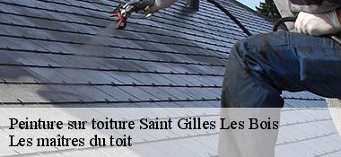 Peinture sur toiture  22290