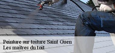 Peinture sur toiture  22530