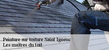 Peinture sur toiture 22270