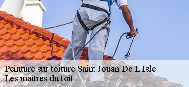 Peinture sur toiture  22350