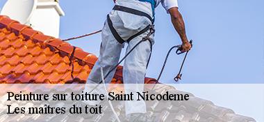 Peinture sur toiture  22160