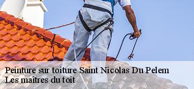 Peinture sur toiture  22480