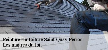 Peinture sur toiture 22700