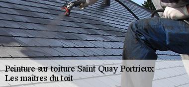 Peinture sur toiture  22410